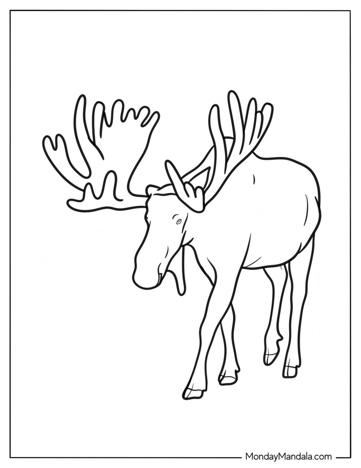 Arctic Animals Coloring Page Of Moose Outline For Kids coloring page