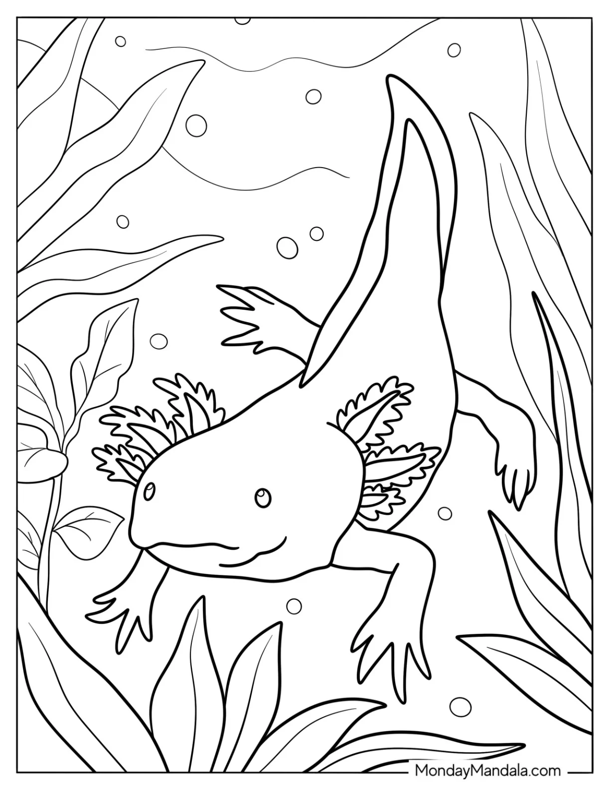 Adult Axolotl Coloring Page Wading Through Seaweed coloring page