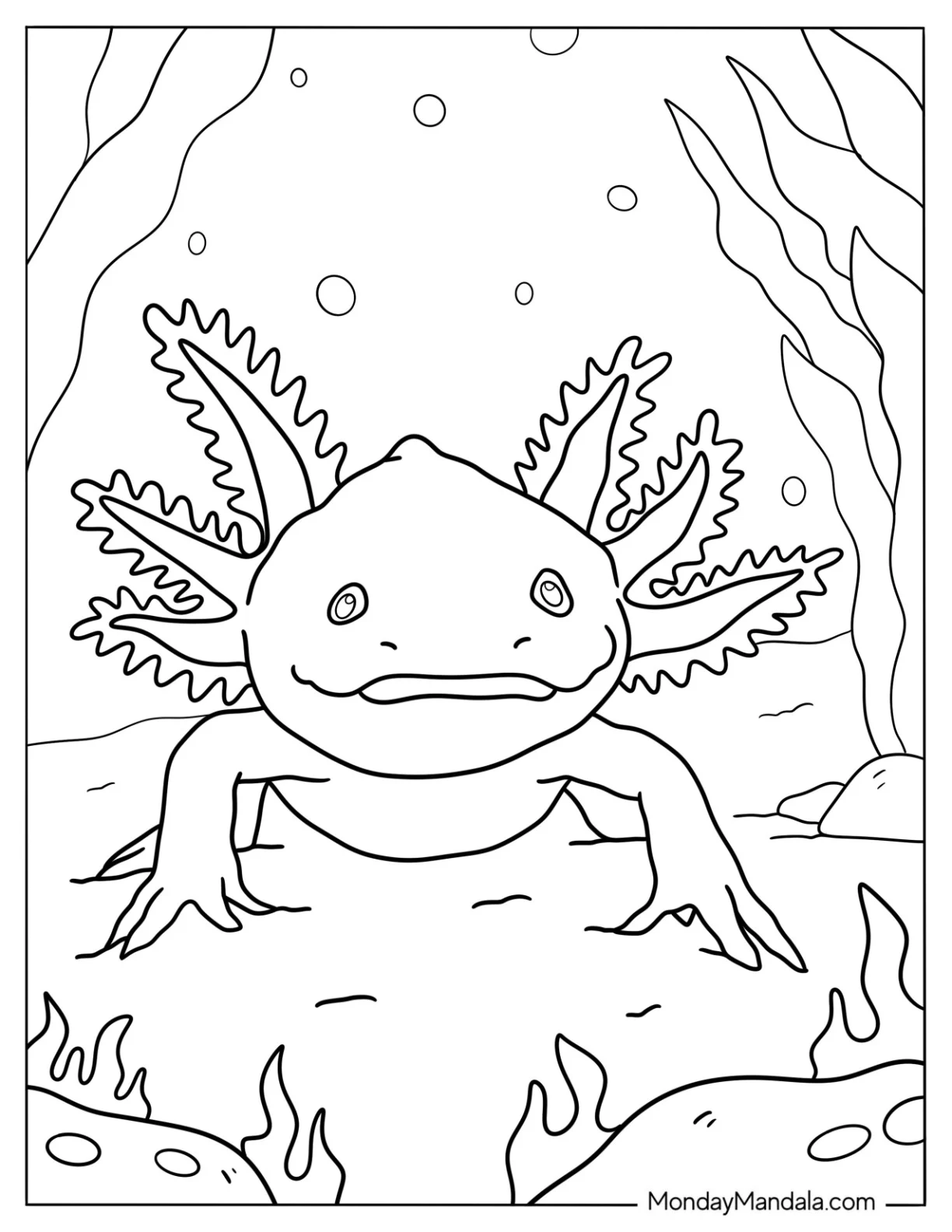 Realistic Axolotl Coloring Page Under The Sea coloring page