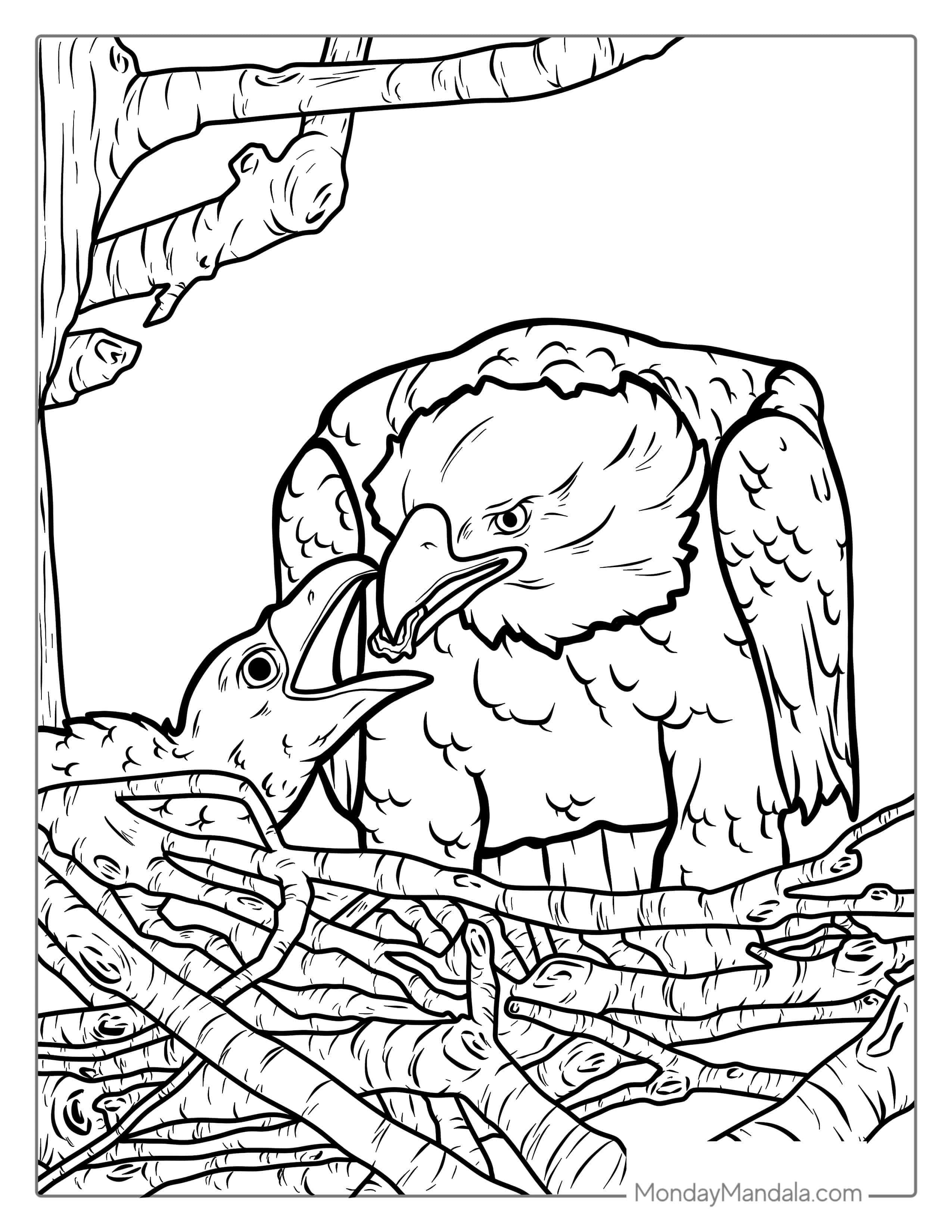 Bald Eagle Feeding Chick In Nest Coloring Sheet coloring page — printable line art