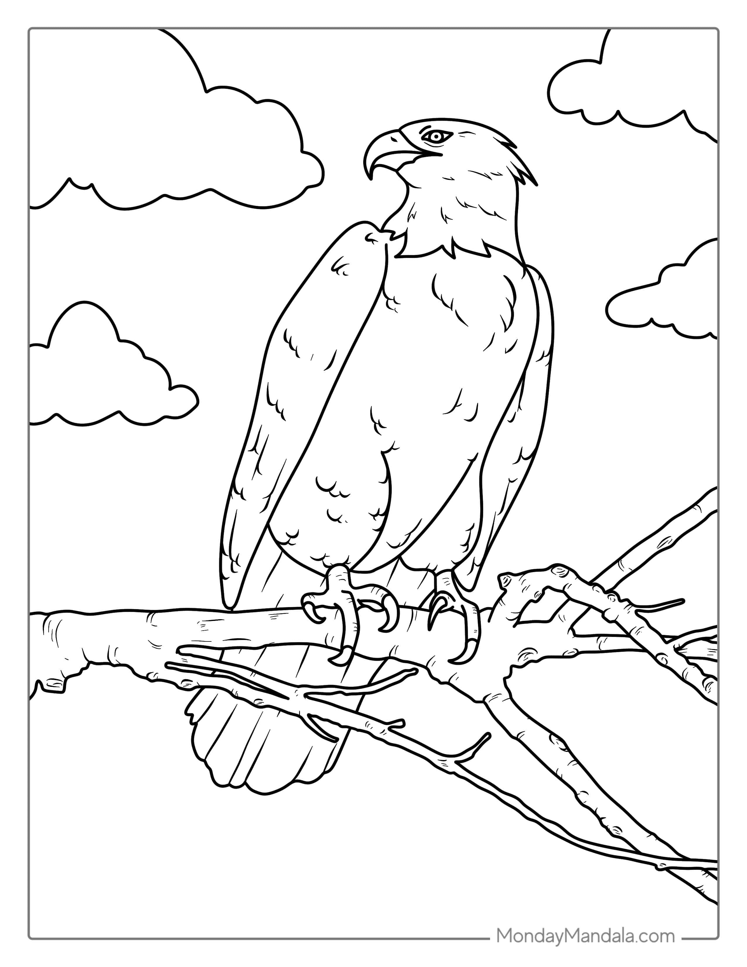 Bald Eagle With Claws On Branch Coloring In coloring page