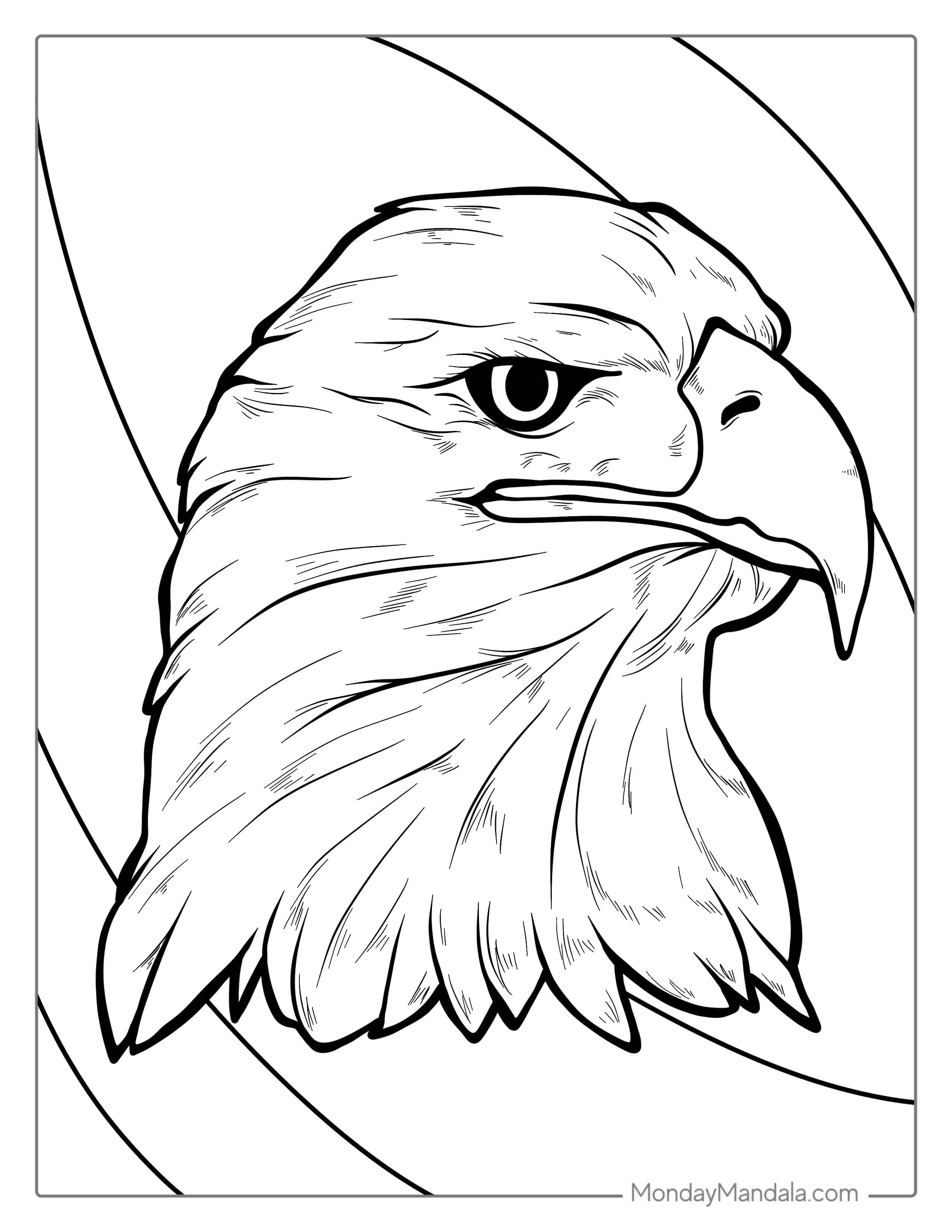 Detailed Bald Eagle Coloring For Adults(1) coloring page