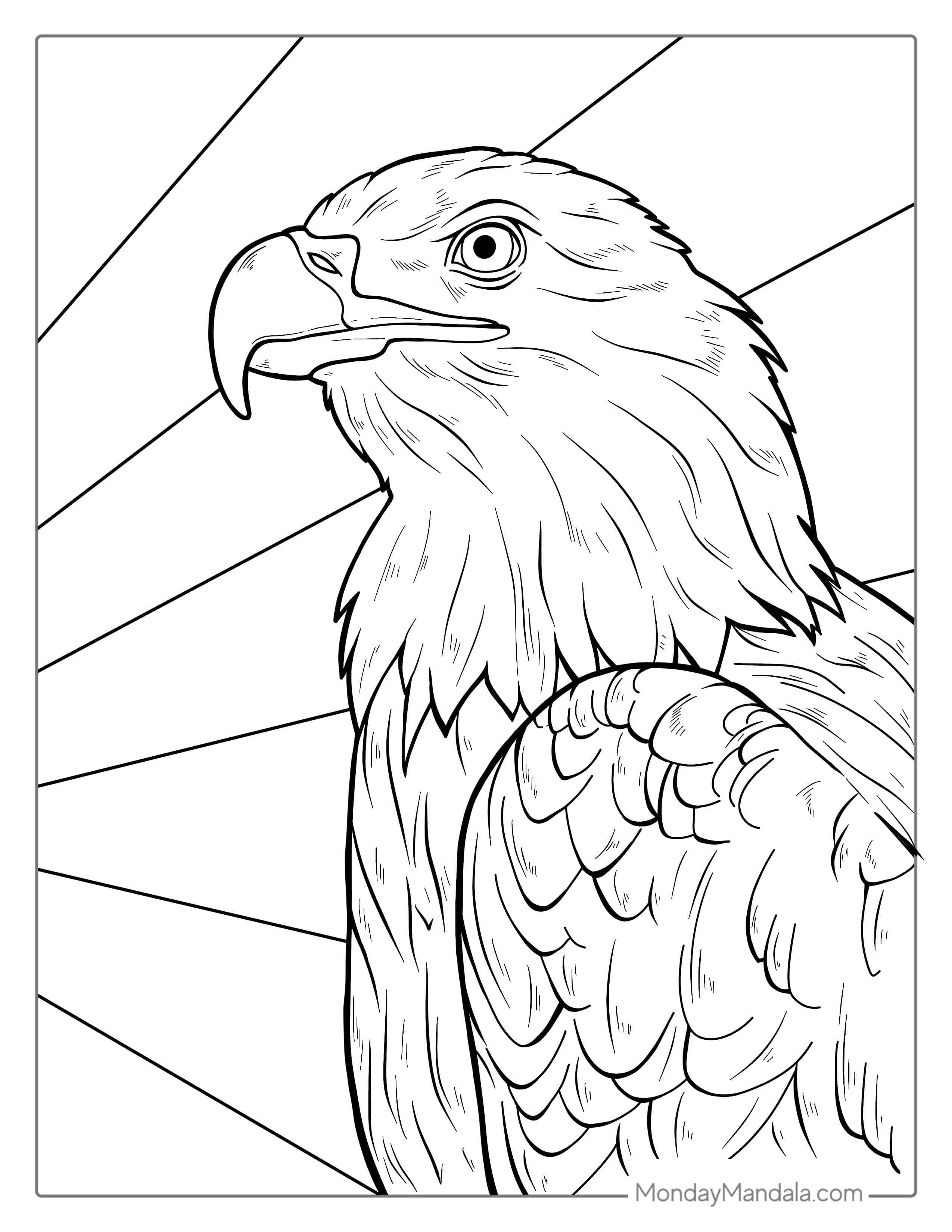 Detailed Bald Eagle Coloring For Adults coloring page