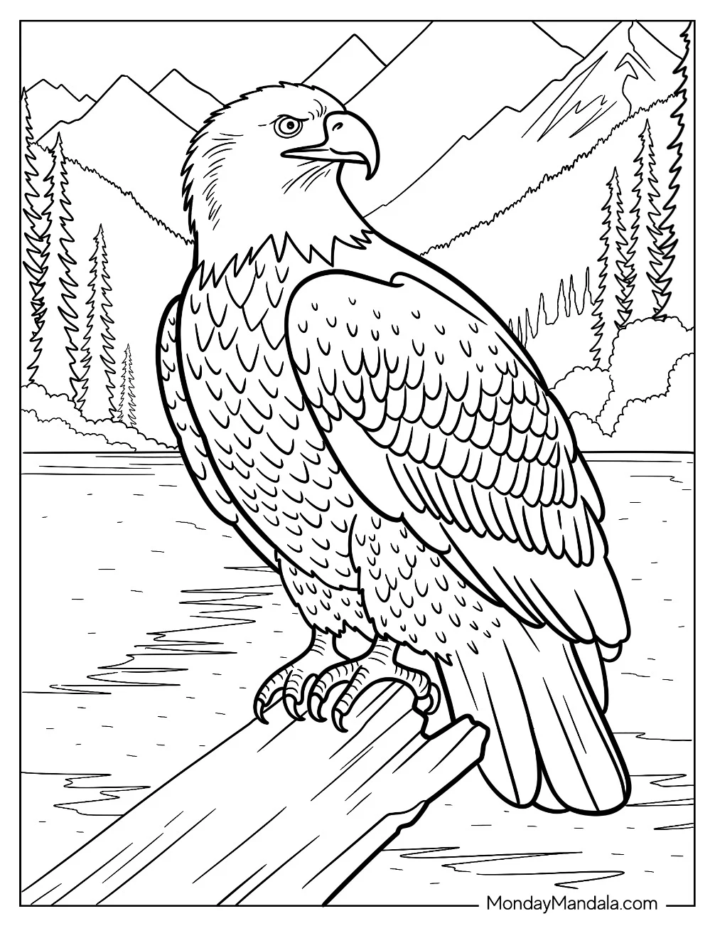 Detailed Bald Eagle Coloring Page Resting in a Forest coloring page