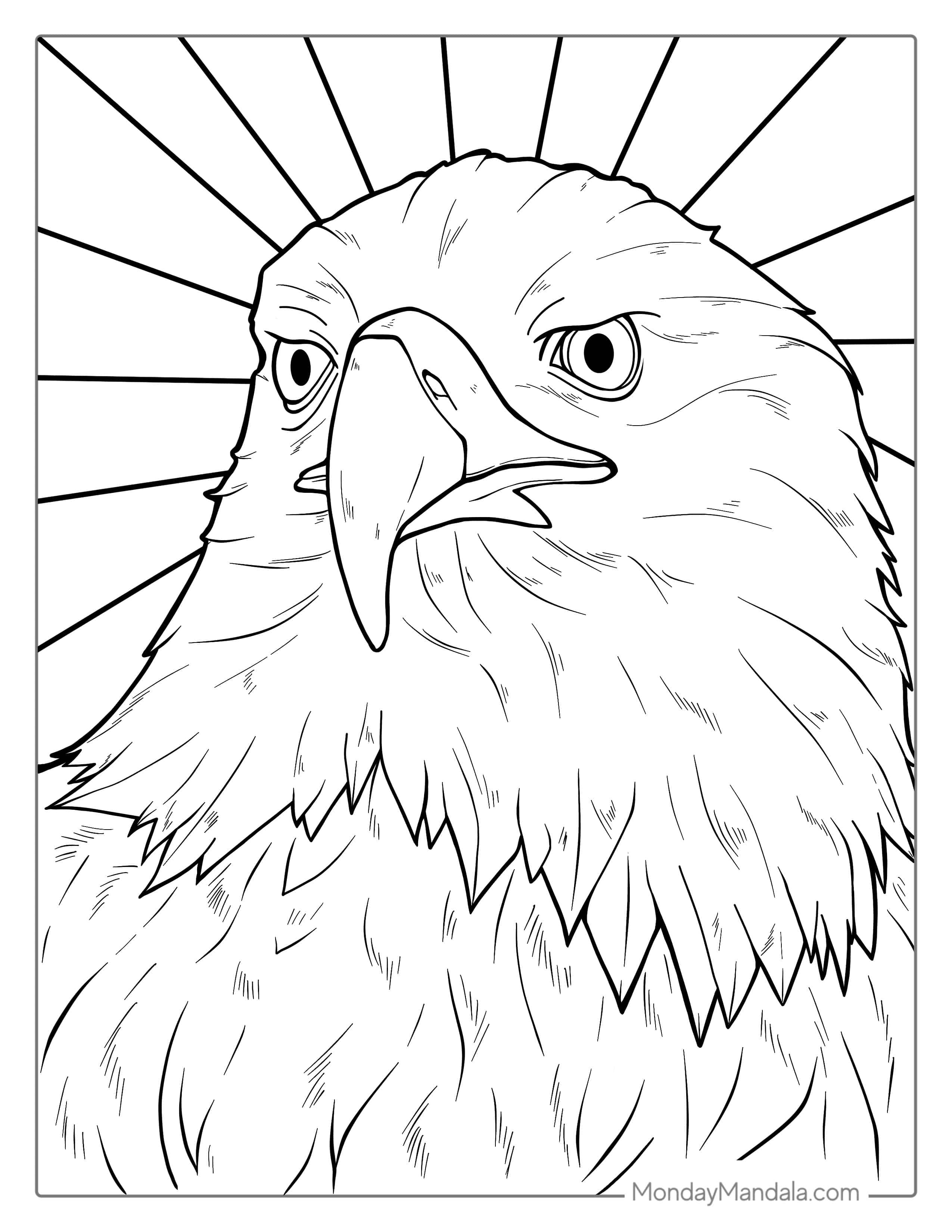 Detailed Bald Eagle Head Coloring For Adults coloring page — printable line art