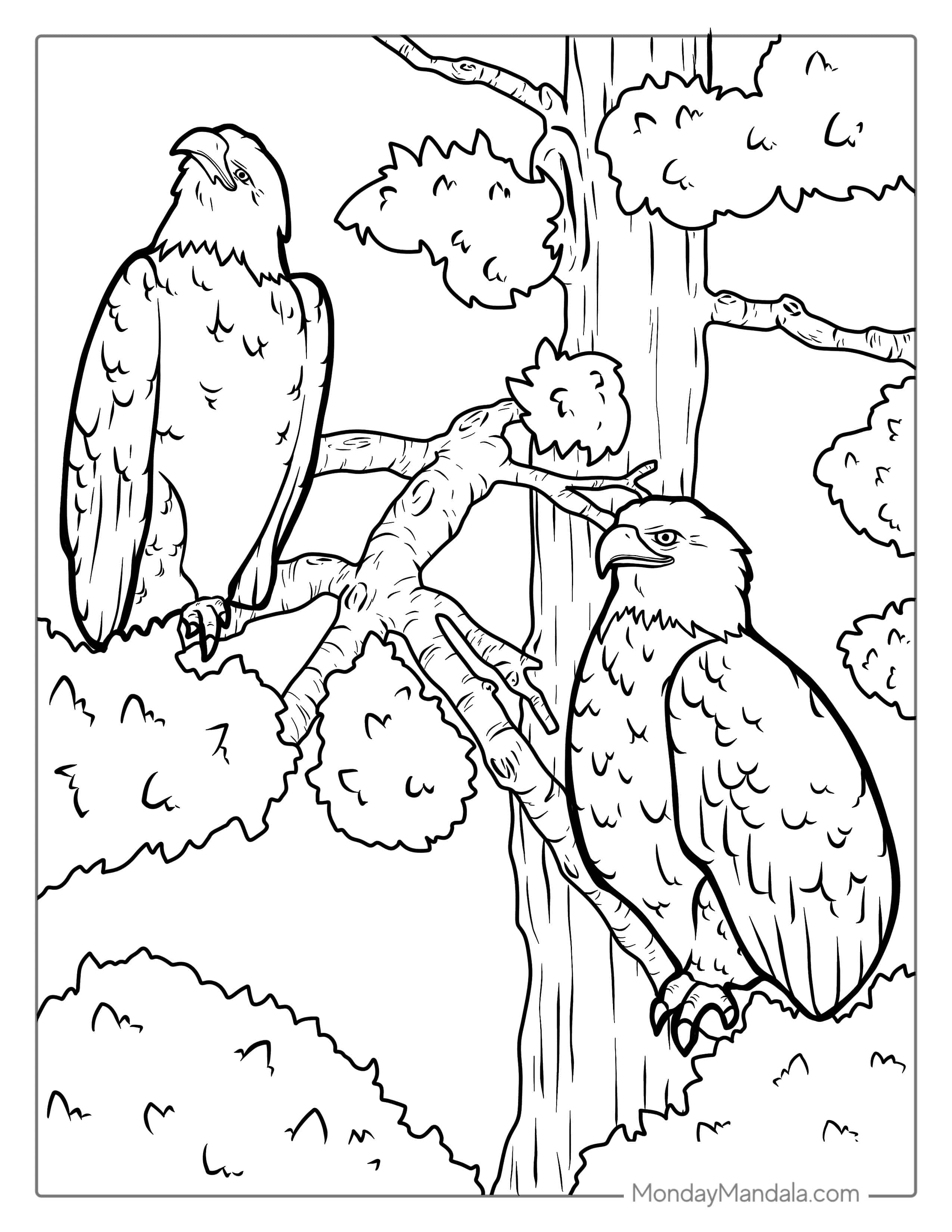 Two Bald Eagles Perched On Tree Coloring In coloring page
