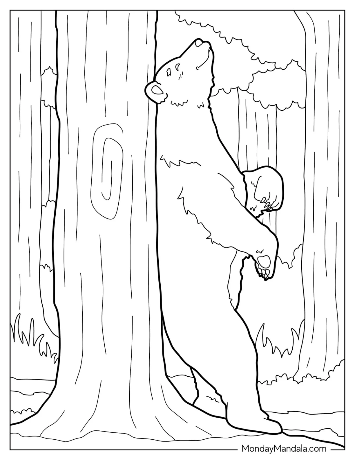Adult Bear Coloring Page Rubbing Back On Tree coloring page