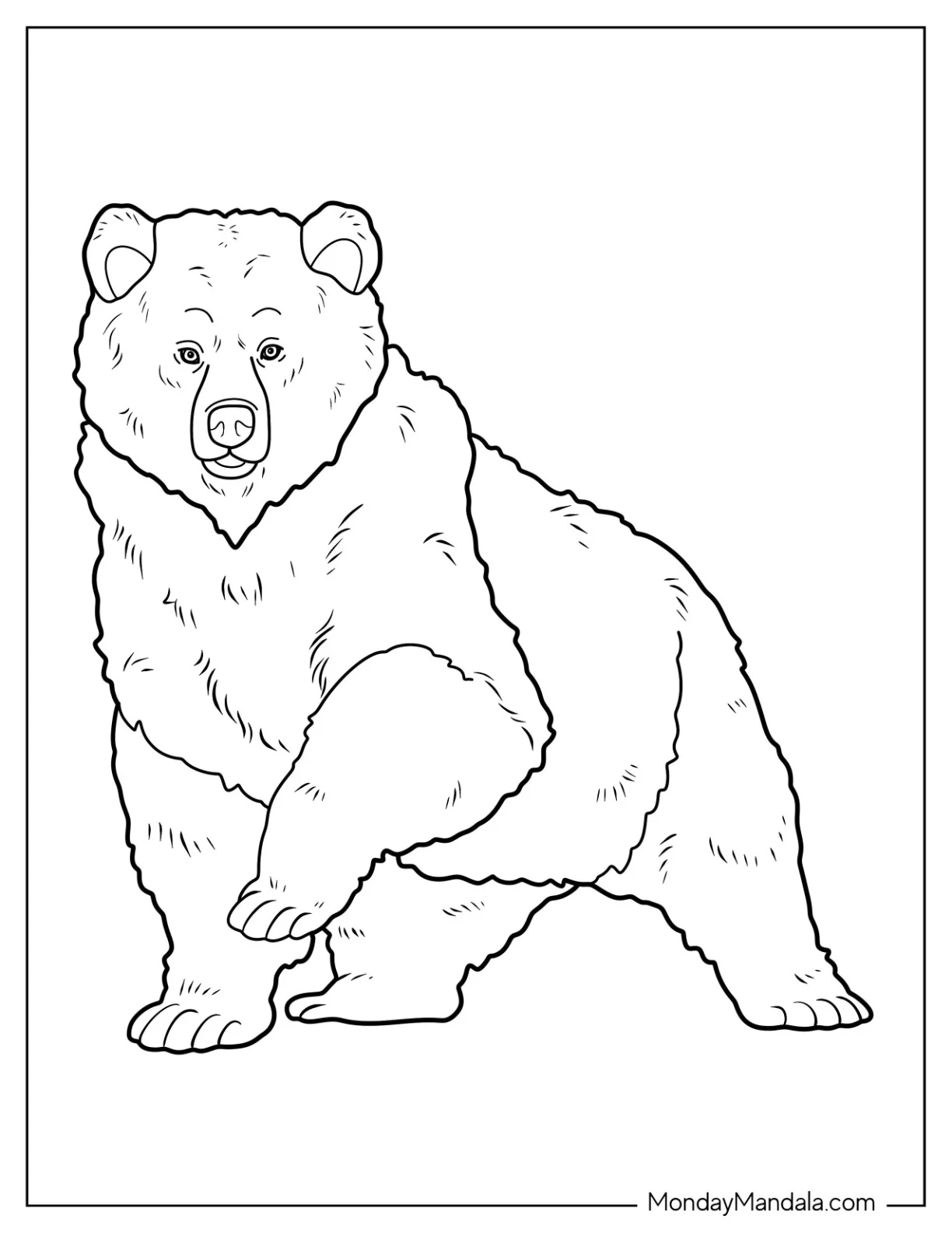 Fluffy Bear Coloring Page With One Paw Raised coloring page — printable line art