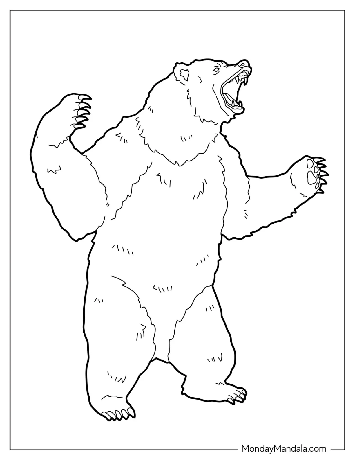 Scary Bear Coloring Page Roaring While Standing coloring page