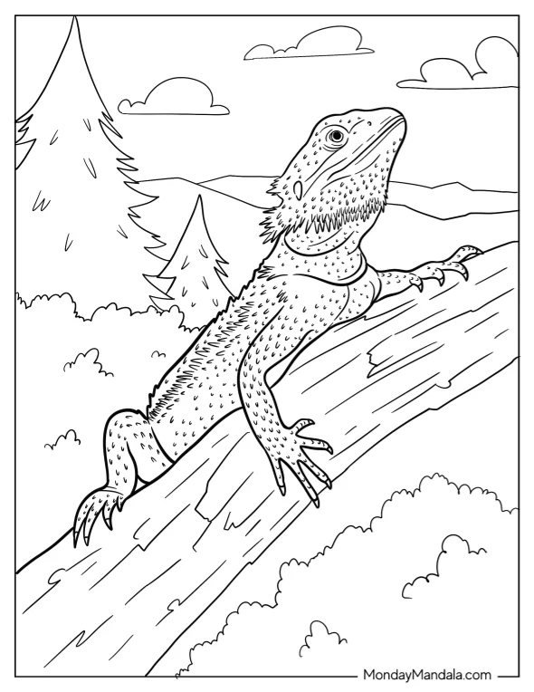 Bearded Dragon Coloring Page Climbing Tree Branch coloring page — printable line art