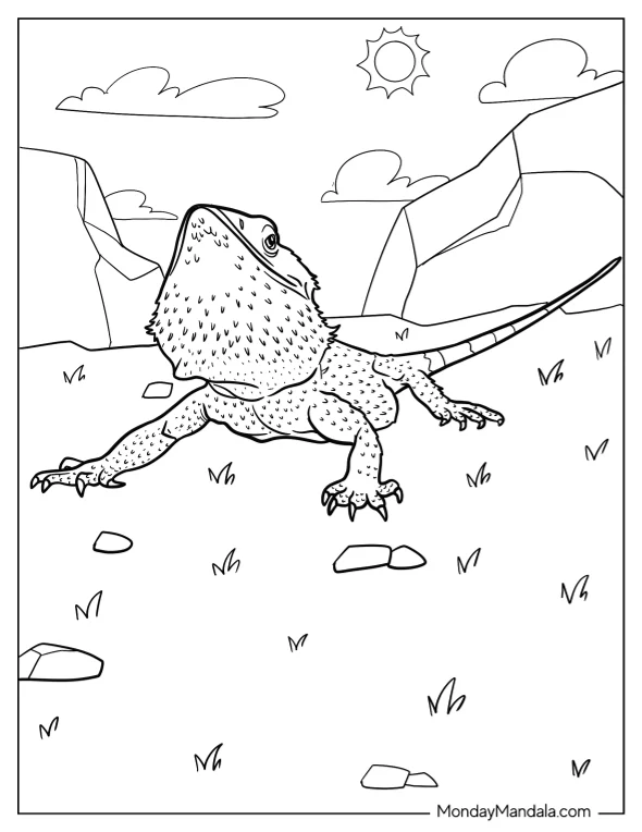 Bearded Dragon Coloring Page On Grass coloring page — printable line art