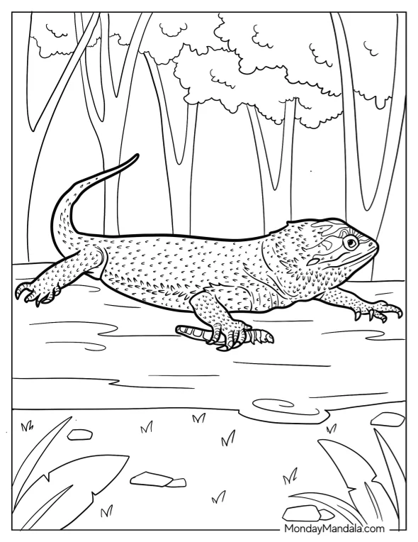 Detailed Bearded Dragon Coloring Page Holding Worm coloring page — printable line art