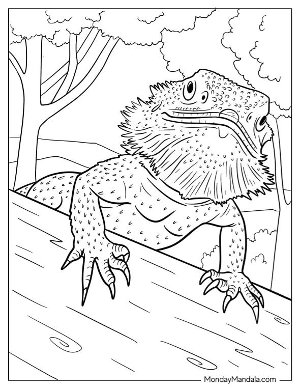 Detailed Close Up Of Bearded Dragon Coloring Page Face coloring page — printable line art