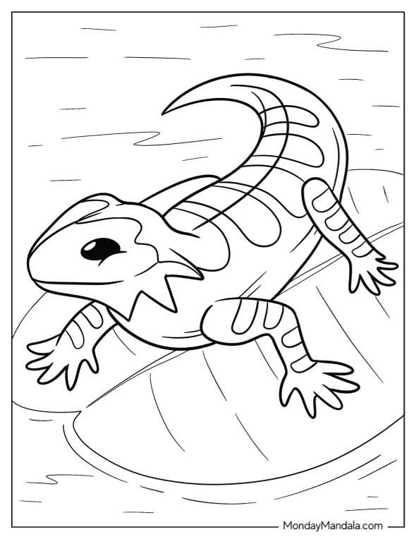 Easy Bearded Dragon Coloring Page on Lily Pod coloring page