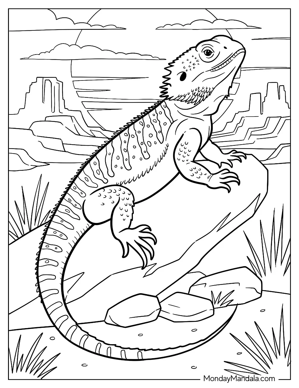 Realistic Bearded Dragon Coloring Page on a Rock in the Desert at Sunset coloring page — printable line art