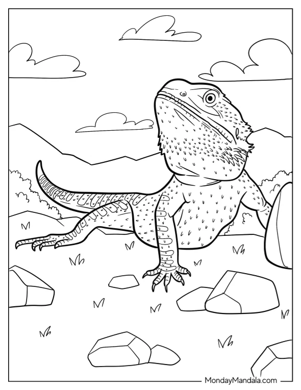 Realistic Bearded Dragon Coloring Page coloring page