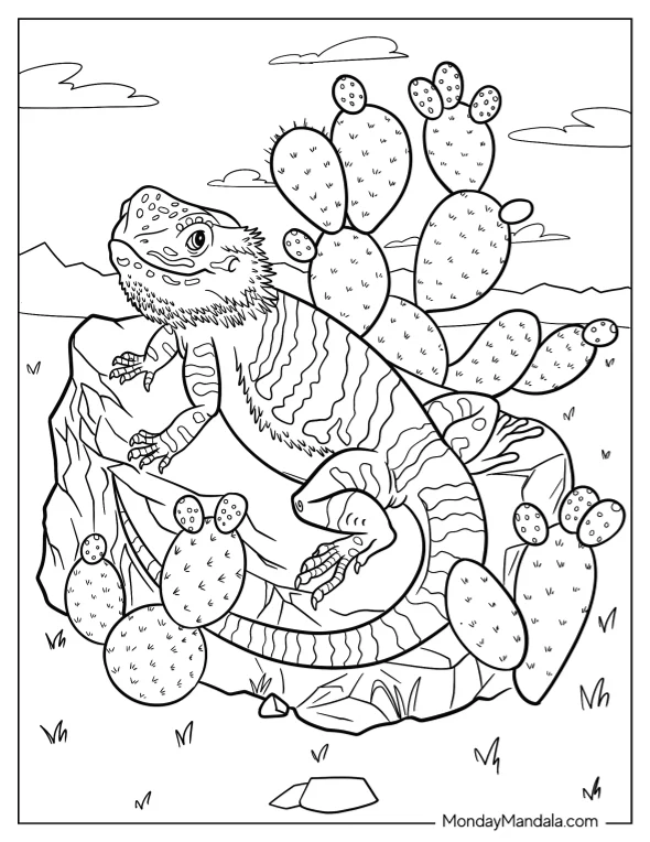 Smiling Bearded Dragon Coloring Page On Top Of Rock With Cactus coloring page
