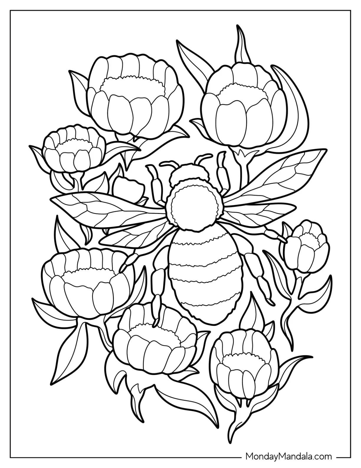 Realistic Bee Coloring Page Hovering Over Flowers coloring page — printable line art