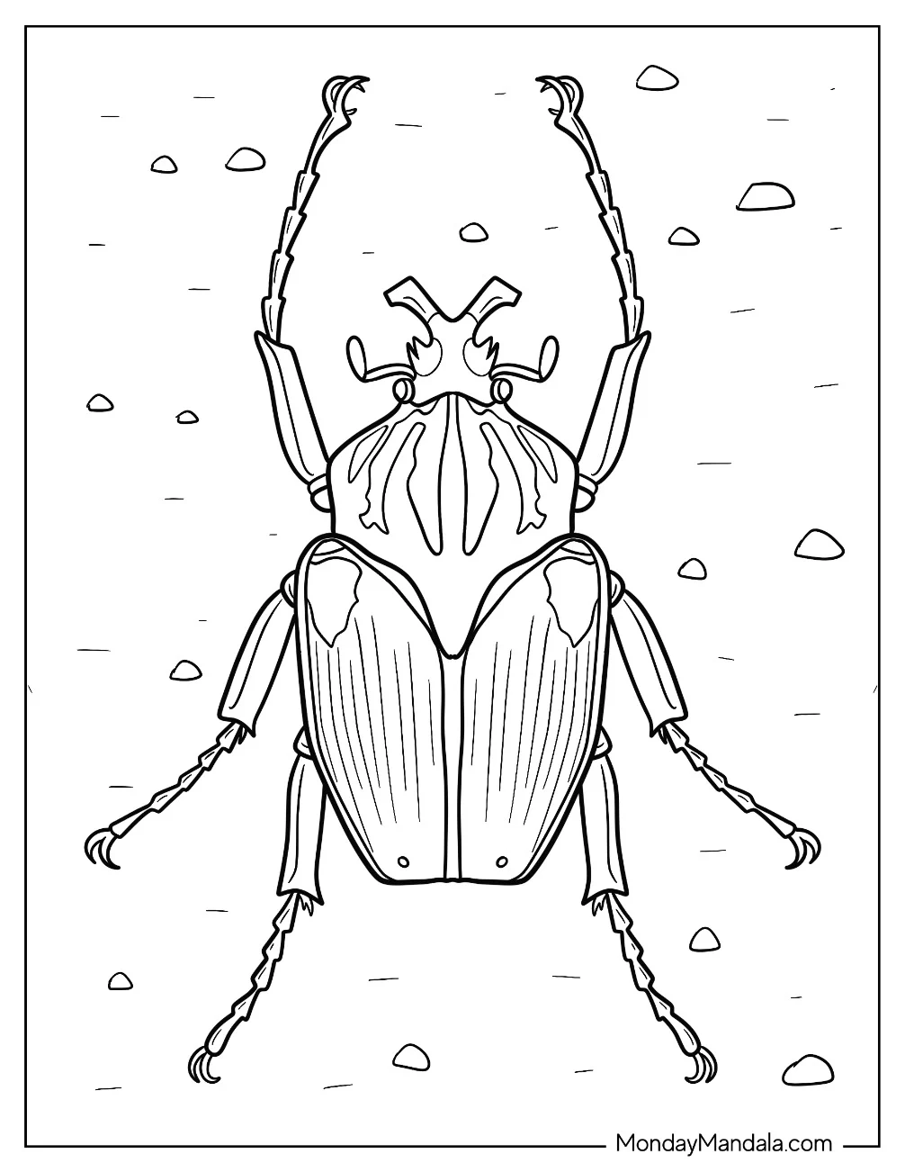 Goliath Beetle Coloring Page coloring page