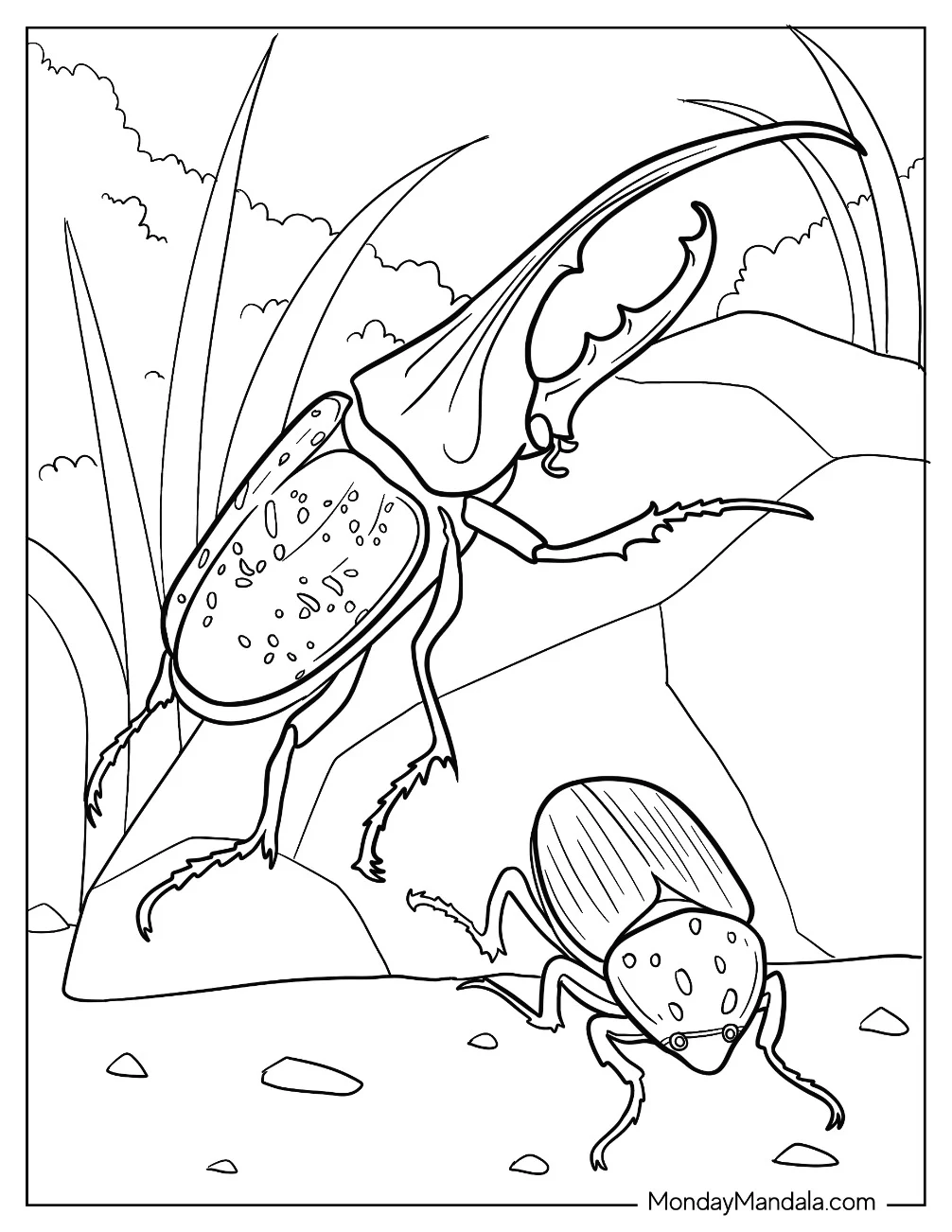 Hercules Beetle Coloring Page Climbing Rock coloring page — printable line art