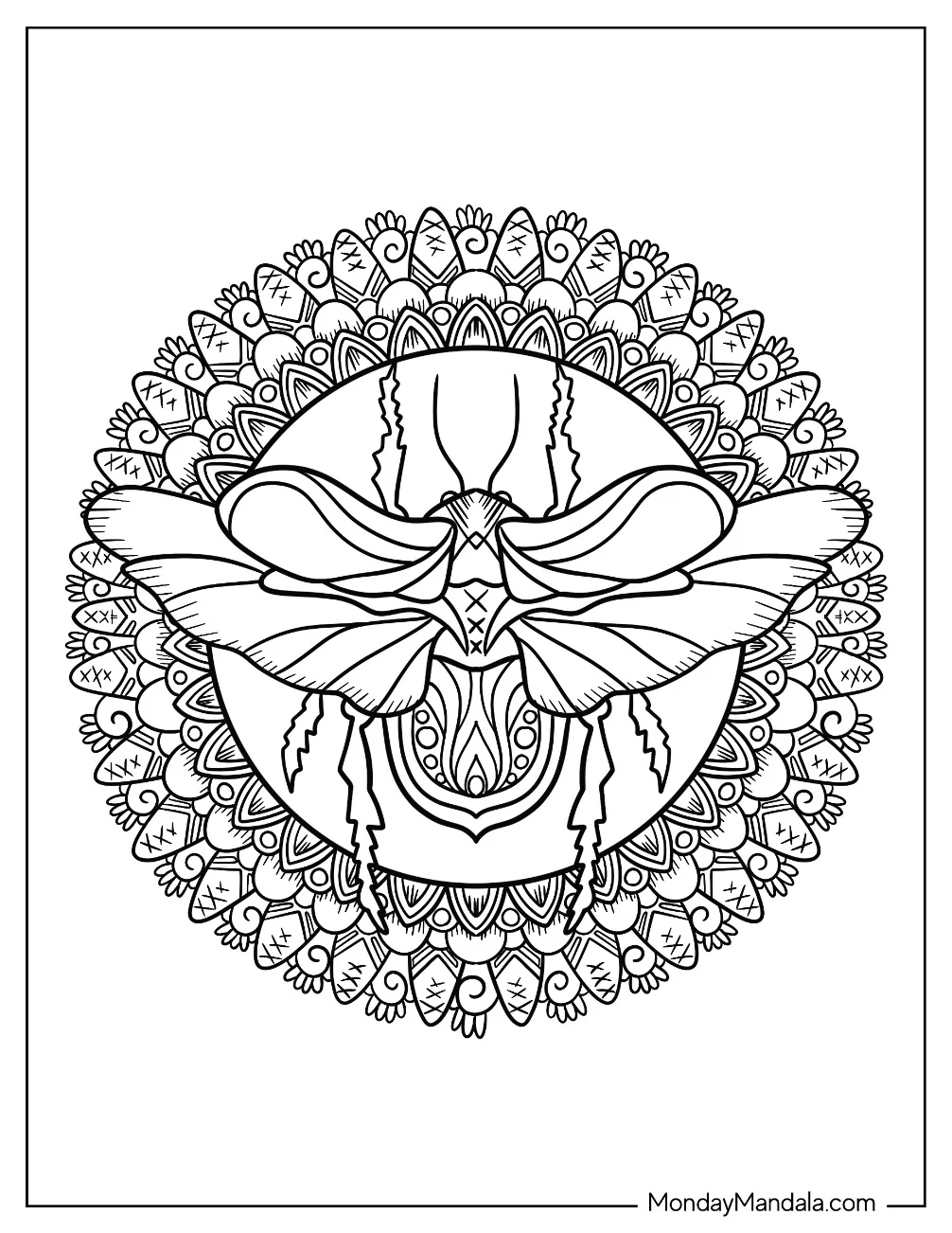 Intricate Beetle Coloring Page Mandala coloring page — printable line art