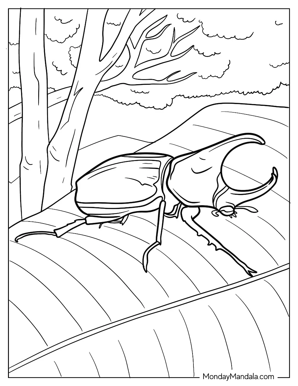 Rhinoceros Beetle Coloring Page On A Leaf coloring page