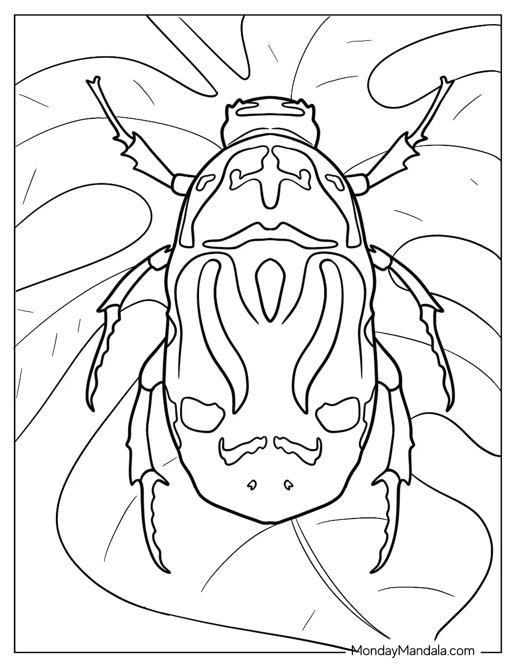 Top View Orange Lady Beetle Coloring Page coloring page