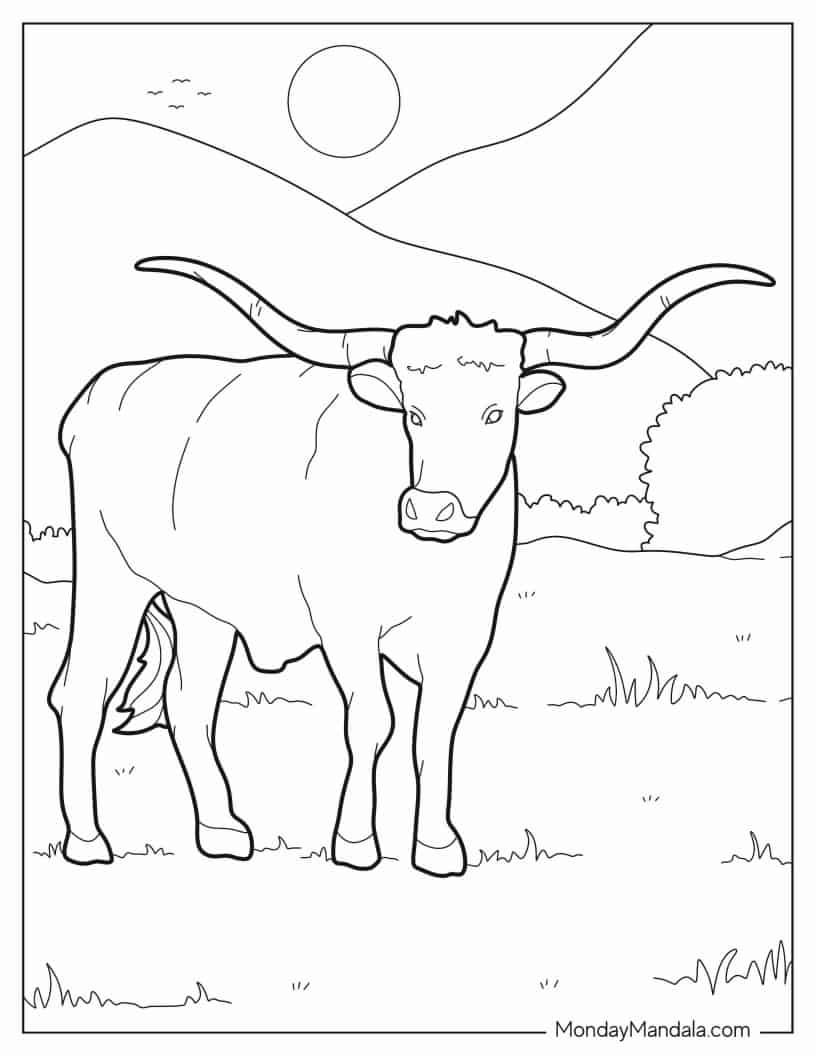 Simple Texas Longhorn Coloring Sheet coloring page