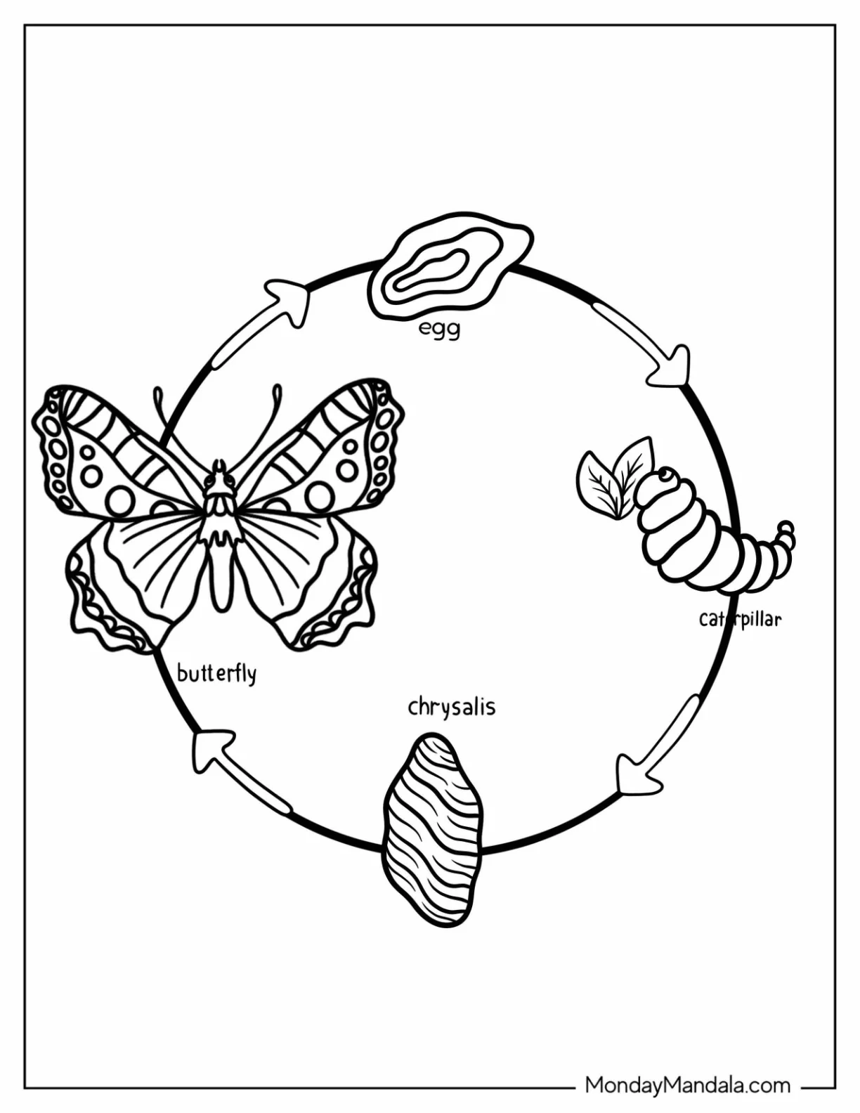 Butterfly Coloring Page Life Cycle coloring page — printable line art