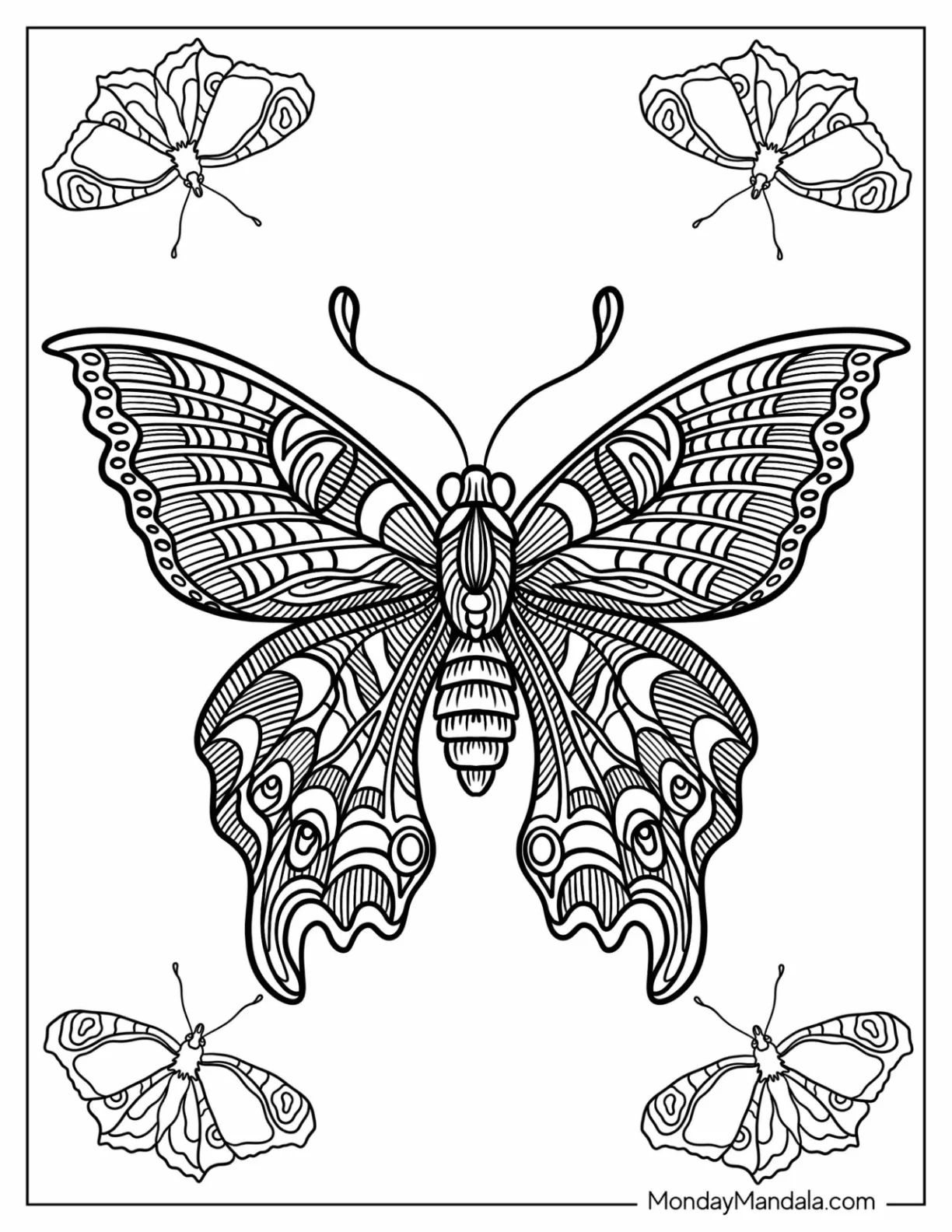 Butterfly Coloring Page Zentangle With Elaborate Wings coloring page