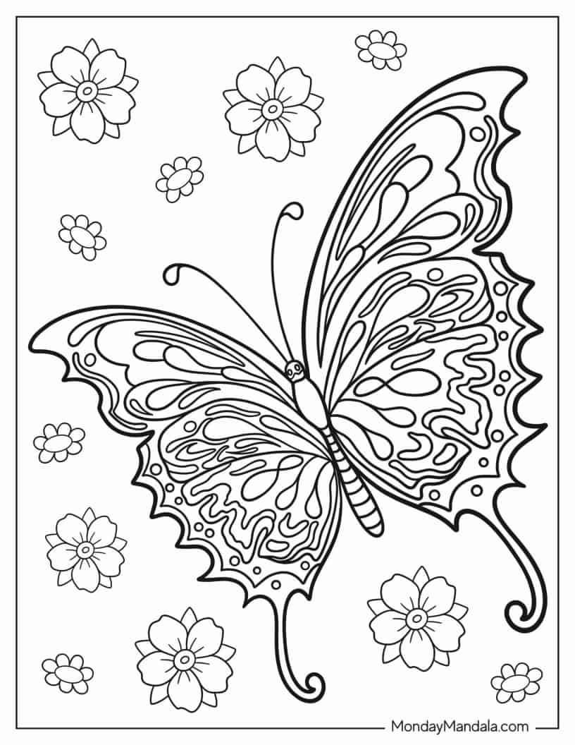 Butterfly With Large Wings Coloring In For Kids coloring page