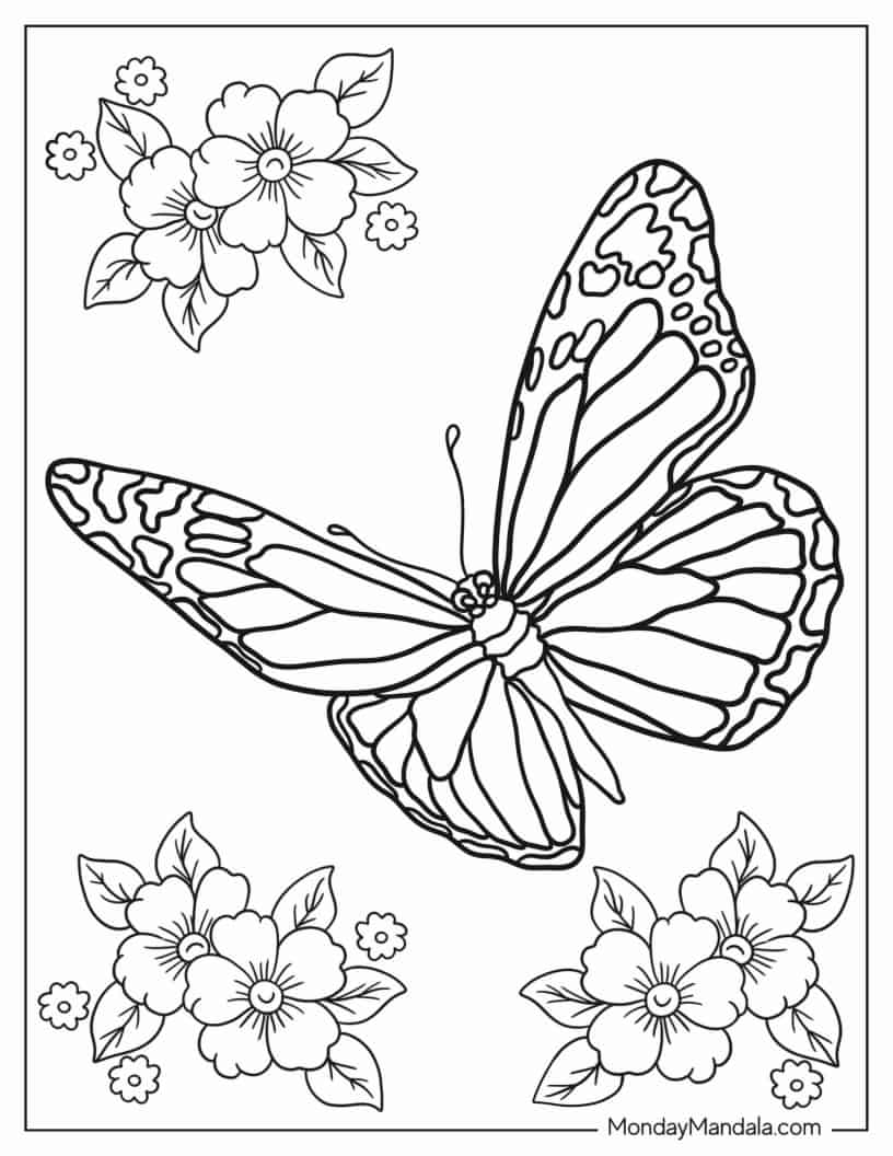 Butterfly With Spotted Wings coloring page