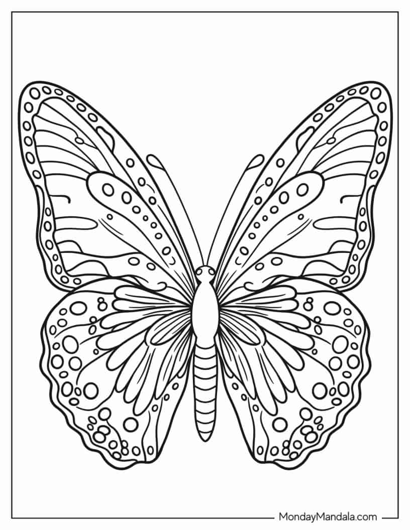 Detailed Coloring Sheet Of Butterfly coloring page
