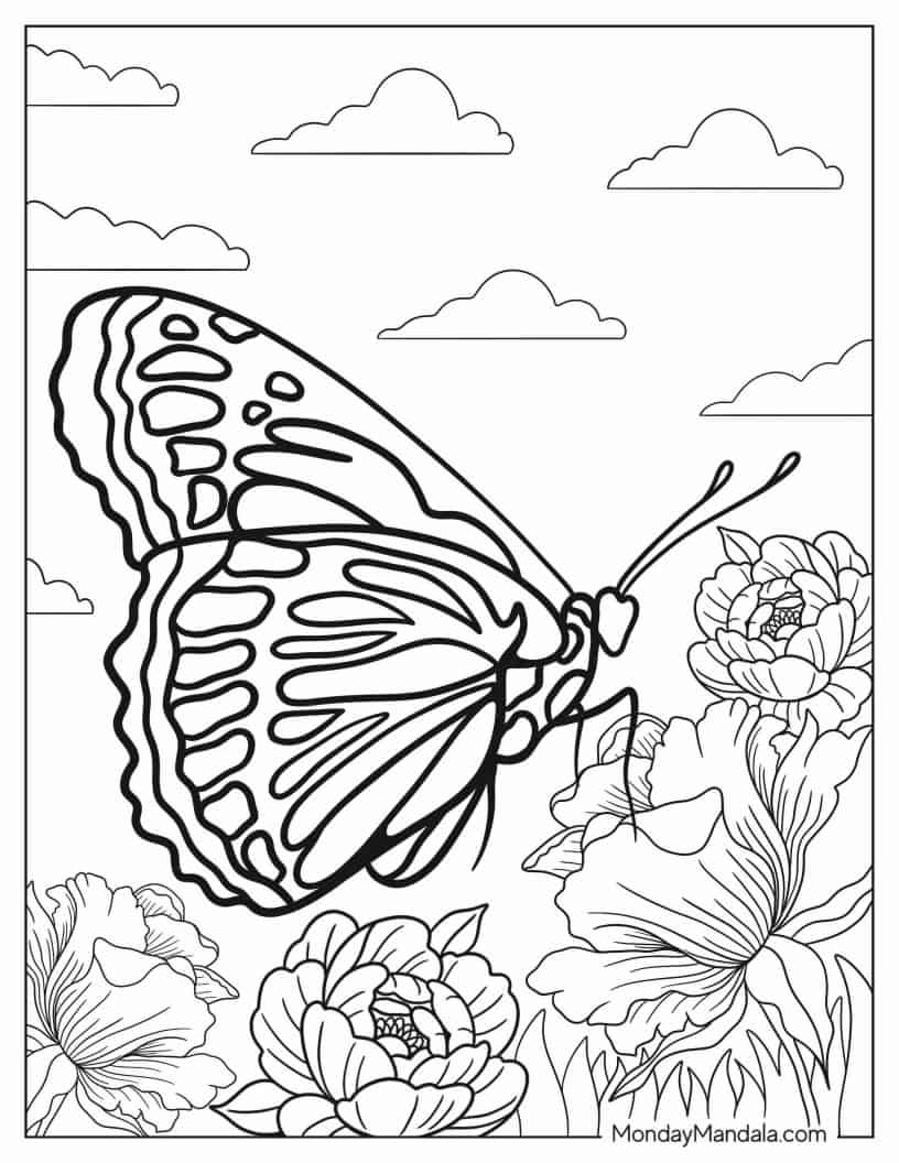 Large Butterfly Feeding On Realistic Flowers coloring page — printable line art