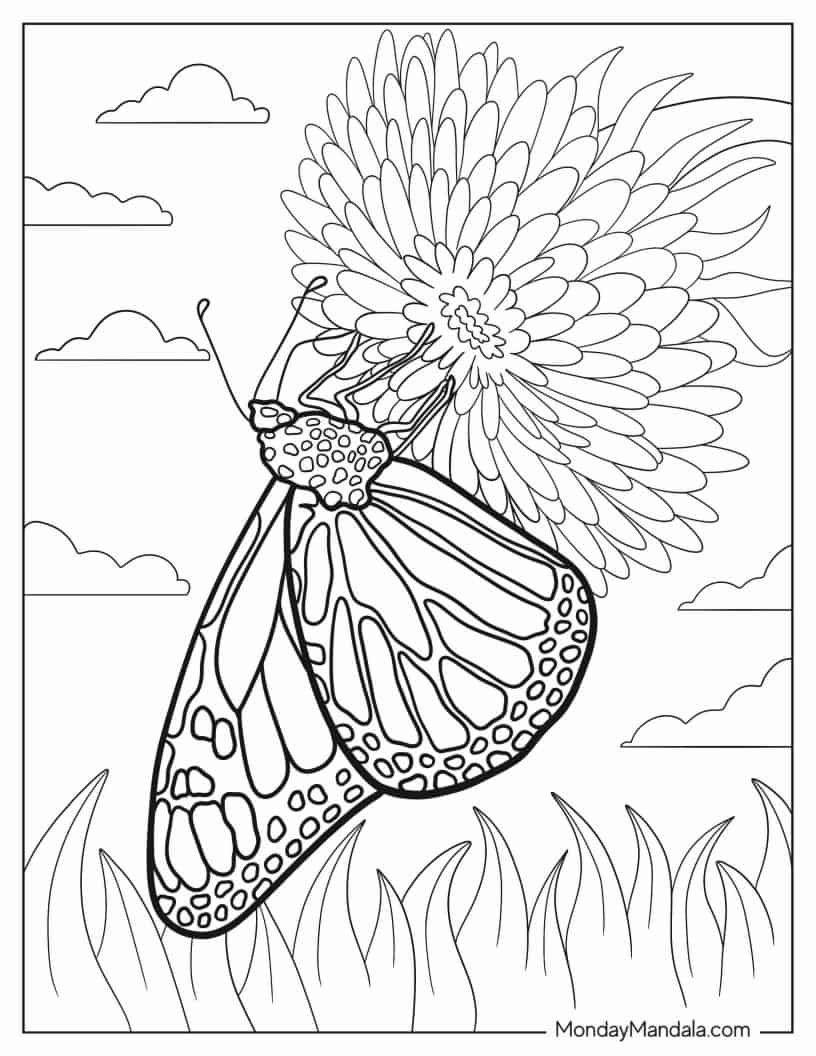Monarch Butterfly Gathering Pollen From Zinnia Flower coloring page — printable line art