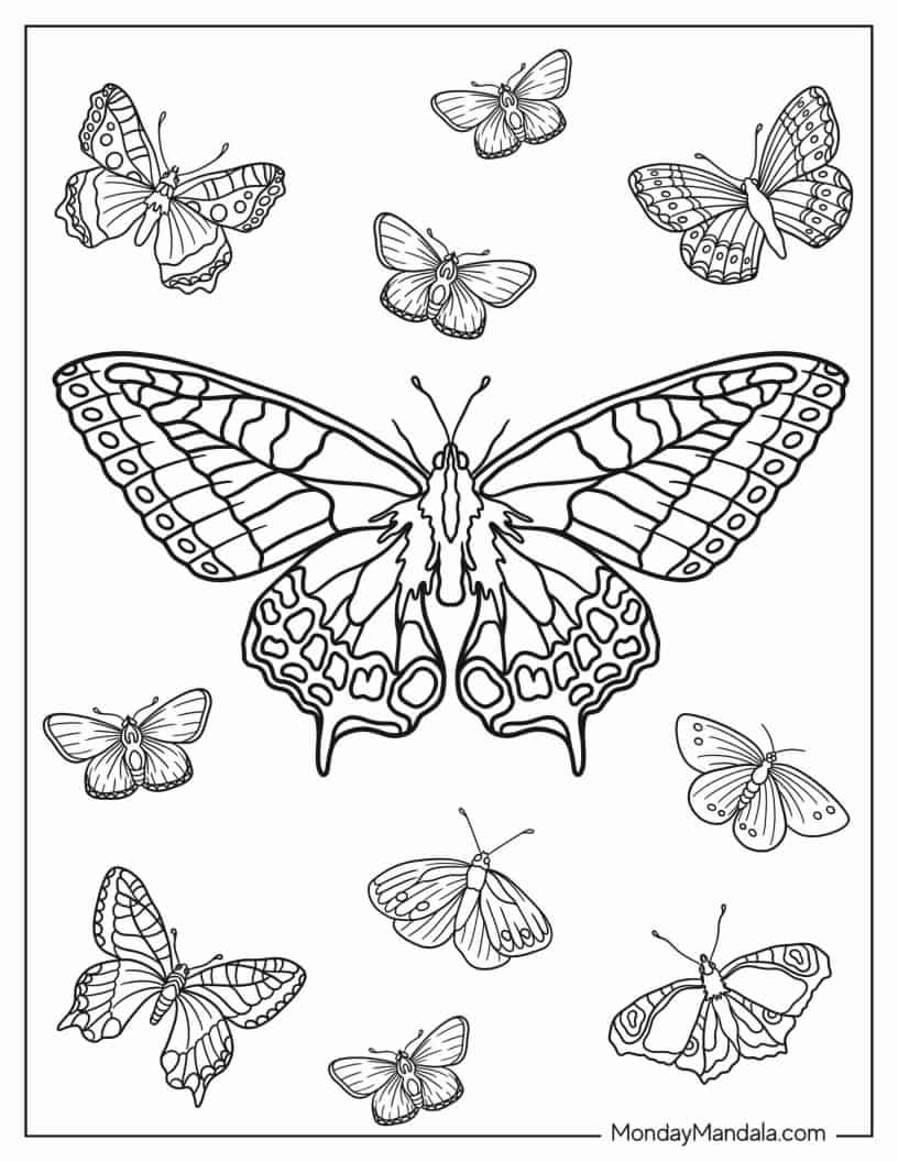 Old World Swallowtail Butterfly coloring page — printable line art