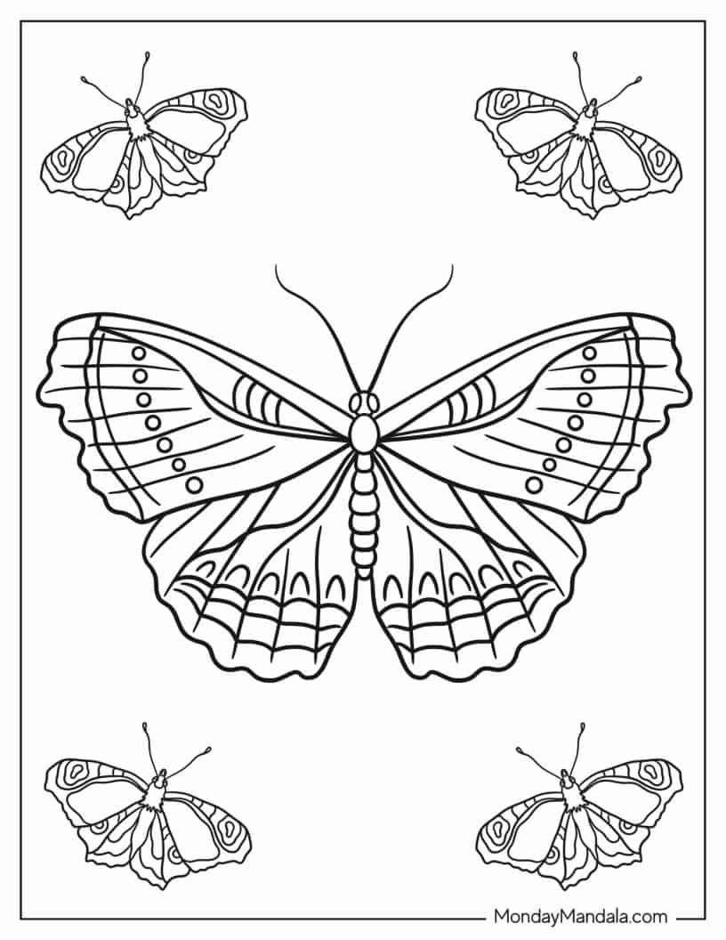 Pretty Butterfly With Detailed Wings To Color coloring page
