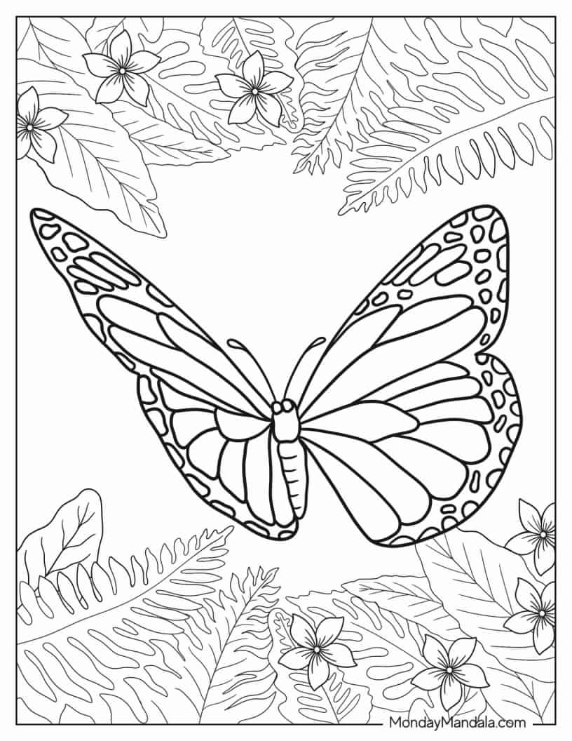 Realistic Butterfly In Nature coloring page — printable line art