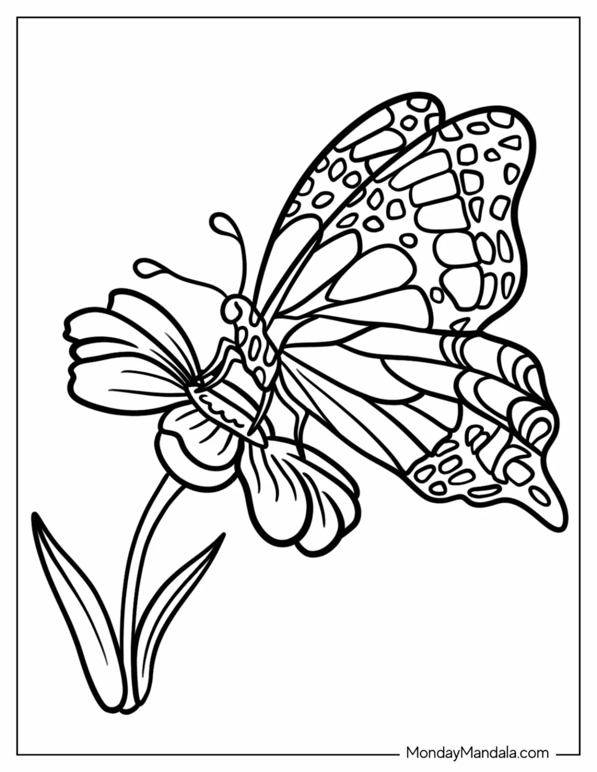 Side Profile Of Butterfly On A Daisy Coloring Sheet coloring page — printable line art