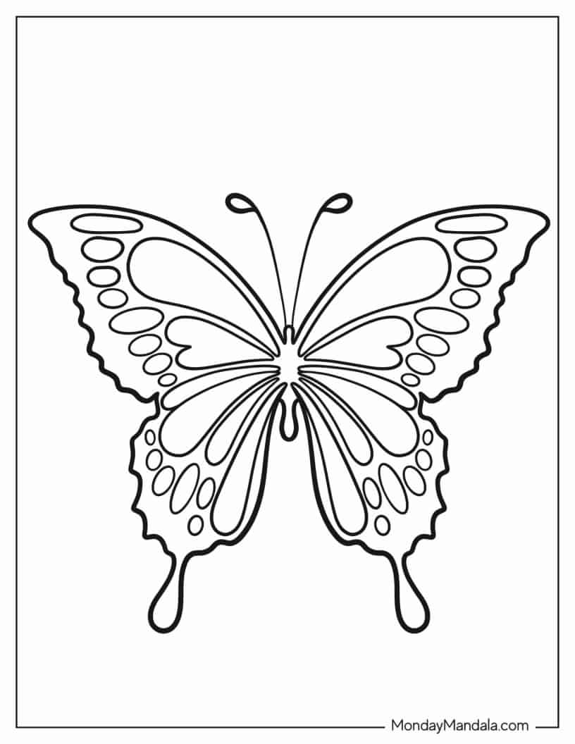 Simple Coloring Sheet Of Swallowtail Butterfly coloring page
