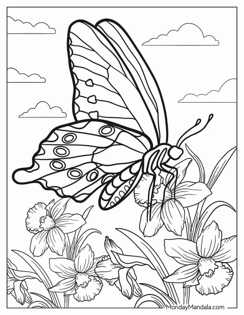 Swallowtail Butterfly Resting On Flower coloring page — printable line art