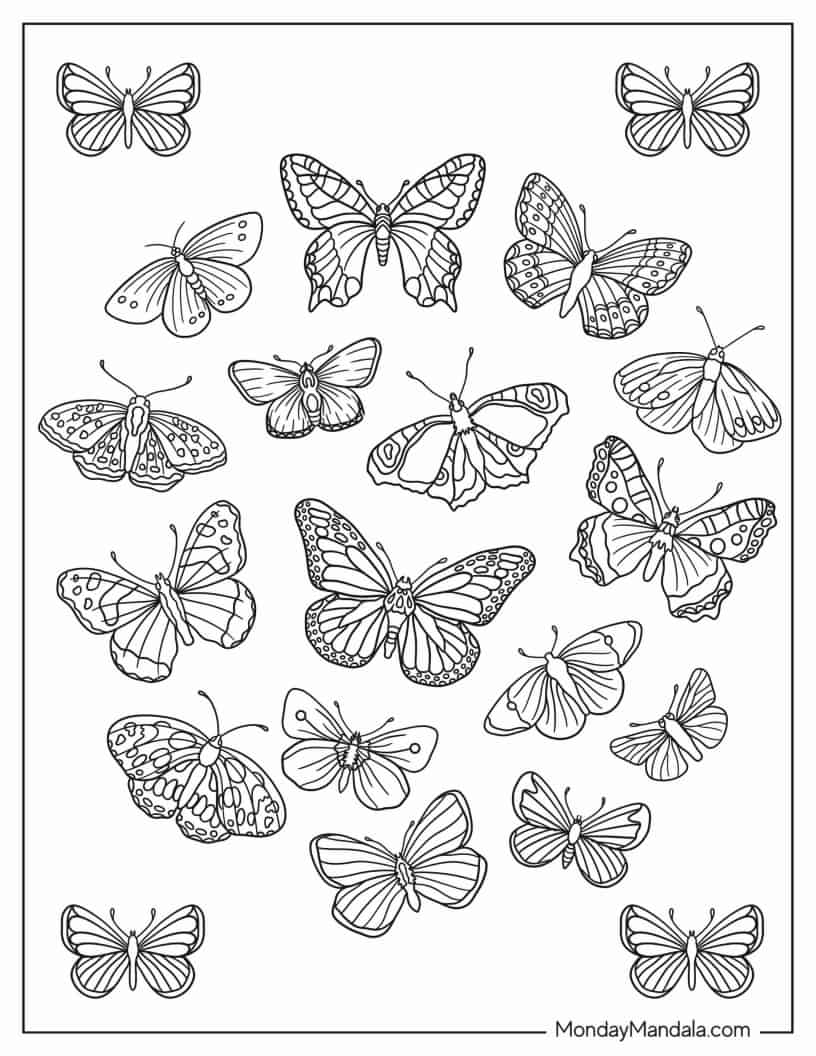 Top View Of An Assortment Of Butterflies coloring page