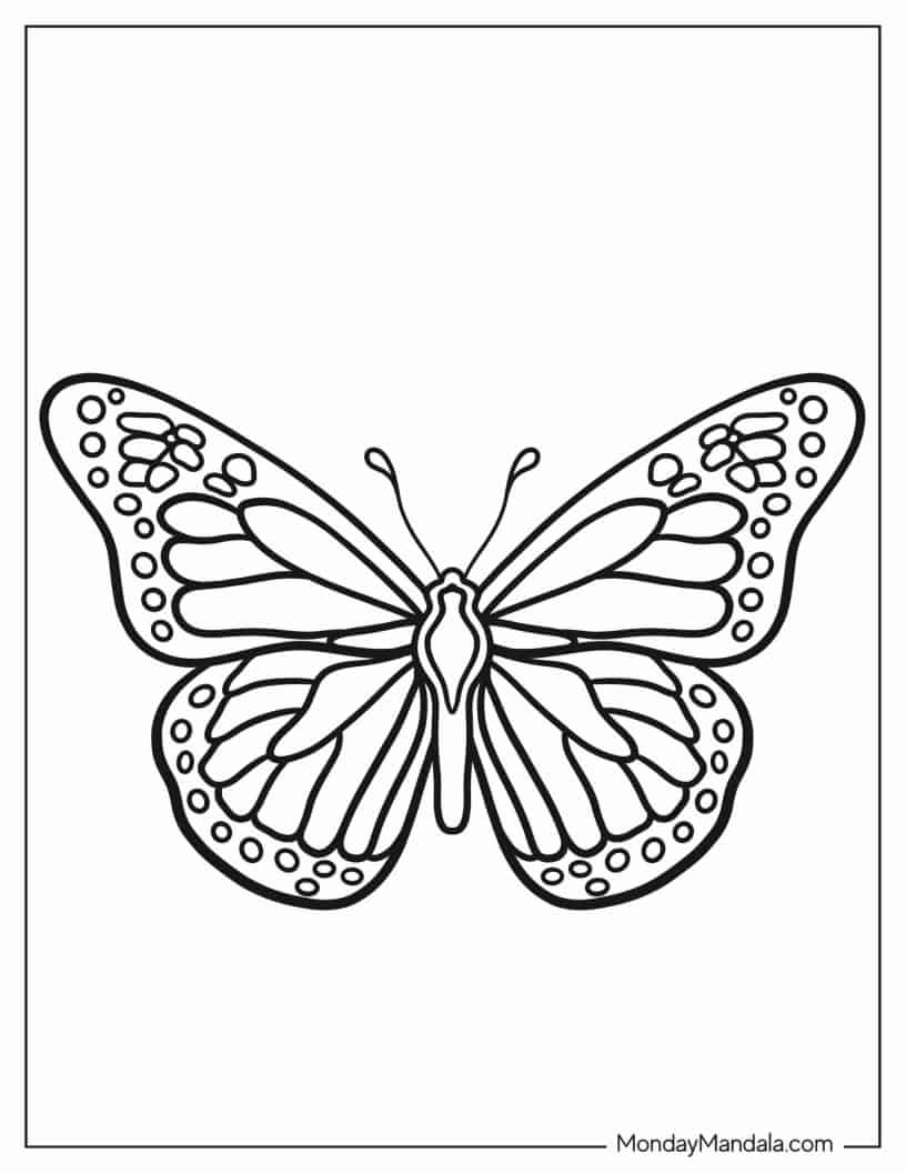 Top View Of Monarch Butterfly For Preschoolers coloring page — printable line art