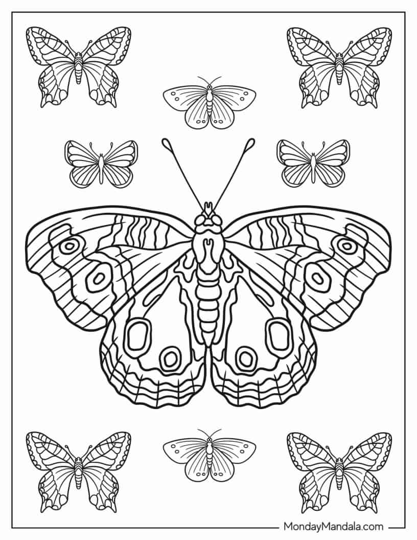 Tropical Butterfly Coloring Sheet coloring page — printable line art