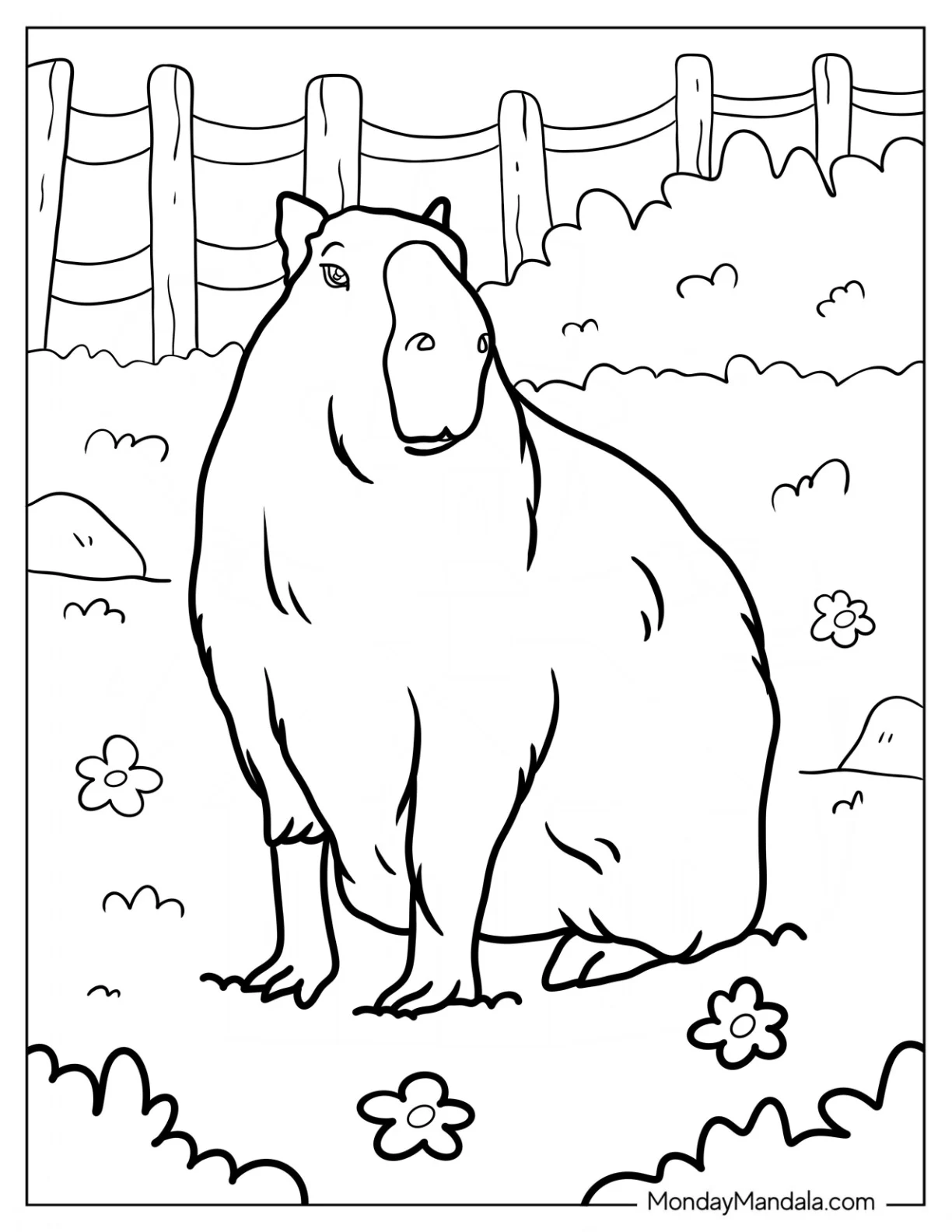 Large Capybara Coloring Page In The Garden coloring page