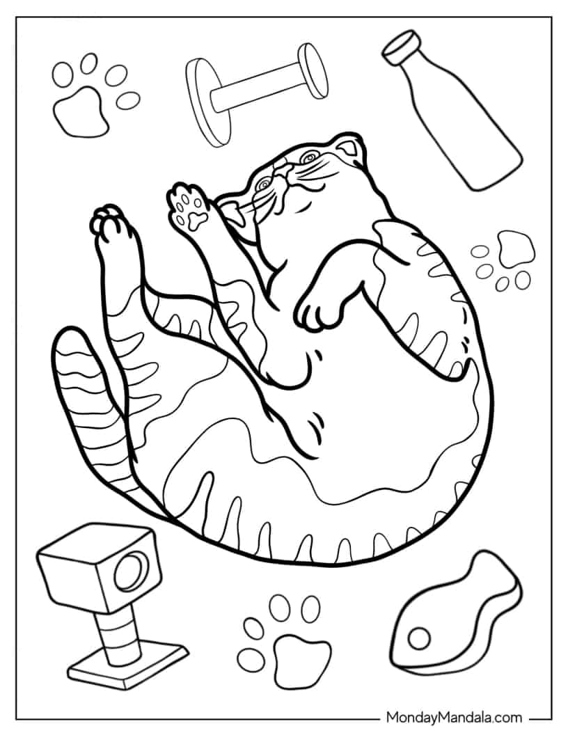 Adult Cat Exposing Belly coloring page