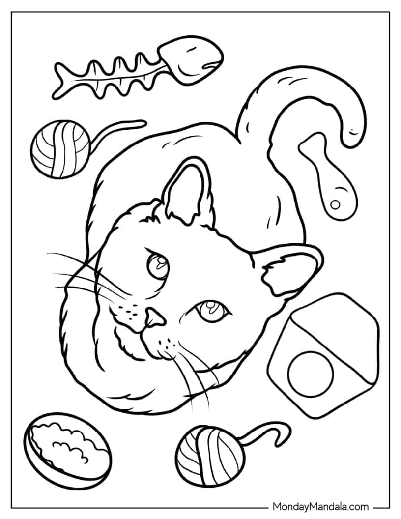Adult Cat Looking Up Coloring In coloring page — printable line art