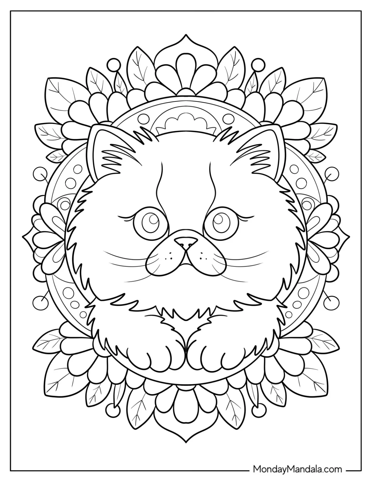 Cat Coloring Page Framed by Intricate Floral Mandala for Kids coloring page — printable line art
