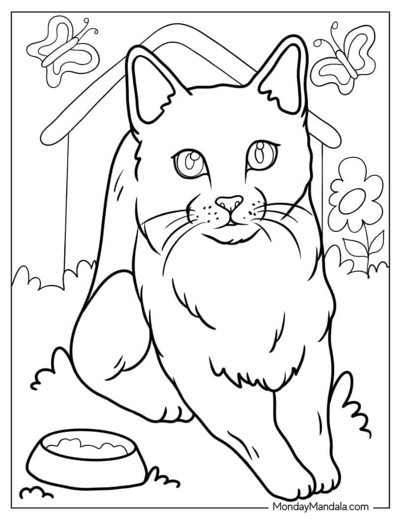 Cat Sitting Outside Cat House coloring page — printable line art