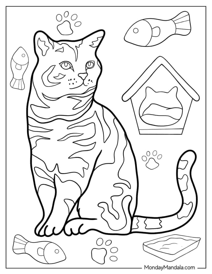 Coloring Page Of Realistic Striped Cat coloring page